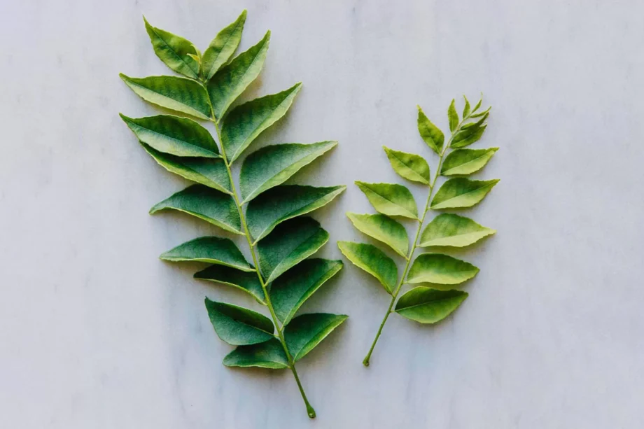 Feuilles de curry frais Kaloupilé