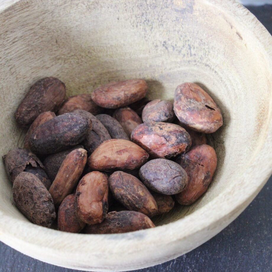 Fèves de Cacao Criollo de Qualité Supérieure