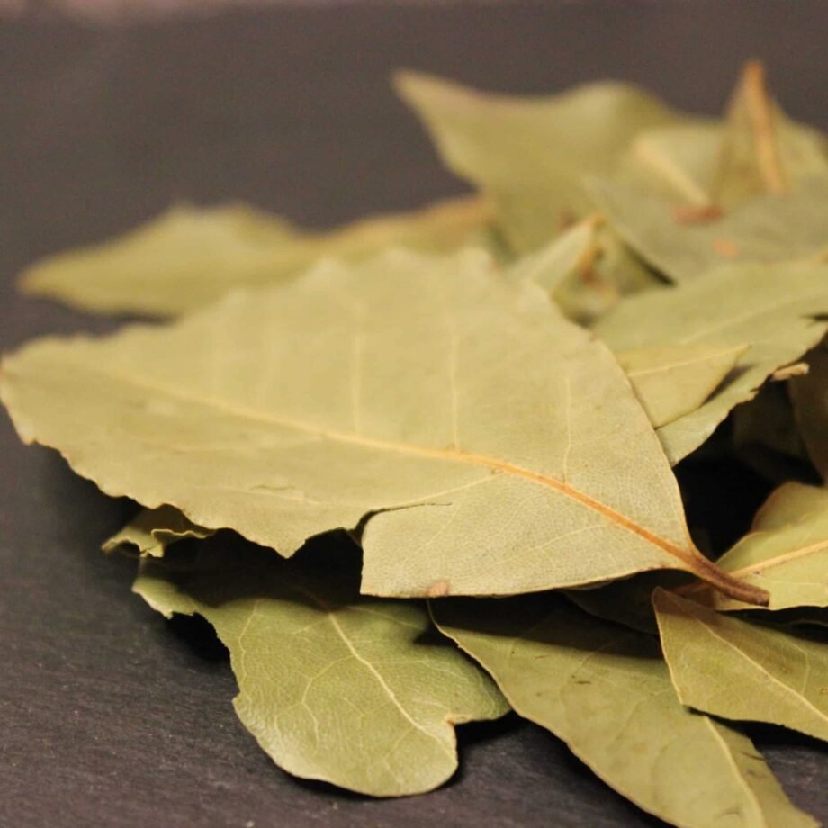 Feuilles de laurier