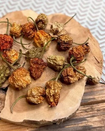 Piment Carolina Reaper - Les épices curieuses