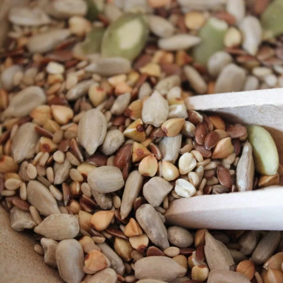 Mélange Pain salade Bio - Les épices curieuses