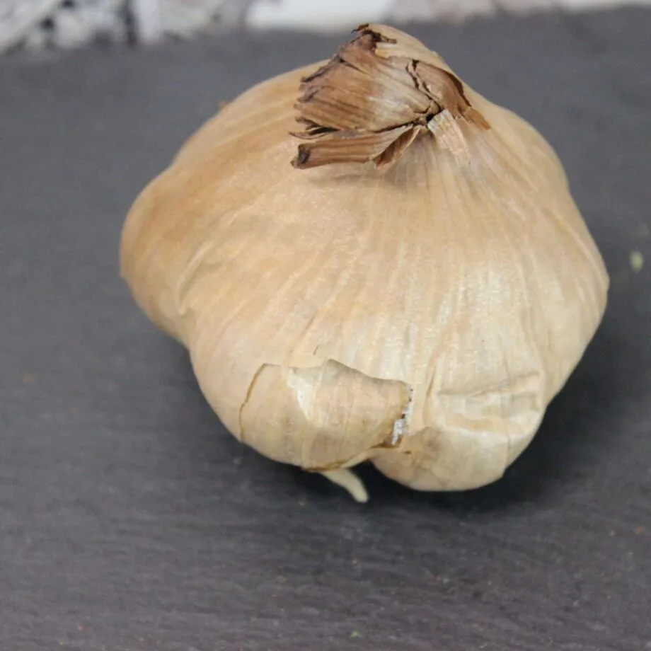 Ail noir en bulbe   Les épices curieuses
