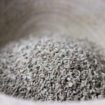 Ajowan ou cumin royal - Les épices curieuses