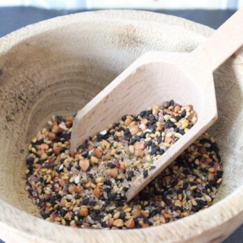 Algomasio exotique - Les épices curieuses