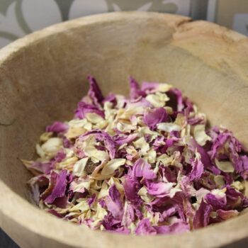 Assemblage Accord parfait de saison - Les épices curieuses