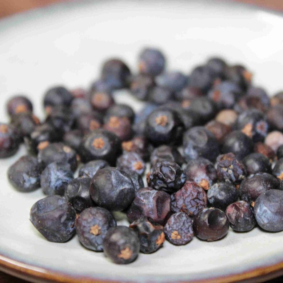 Baies de genièvre sur une assiette blanche, utilisées en cuisine et pour aromatiser le gin.