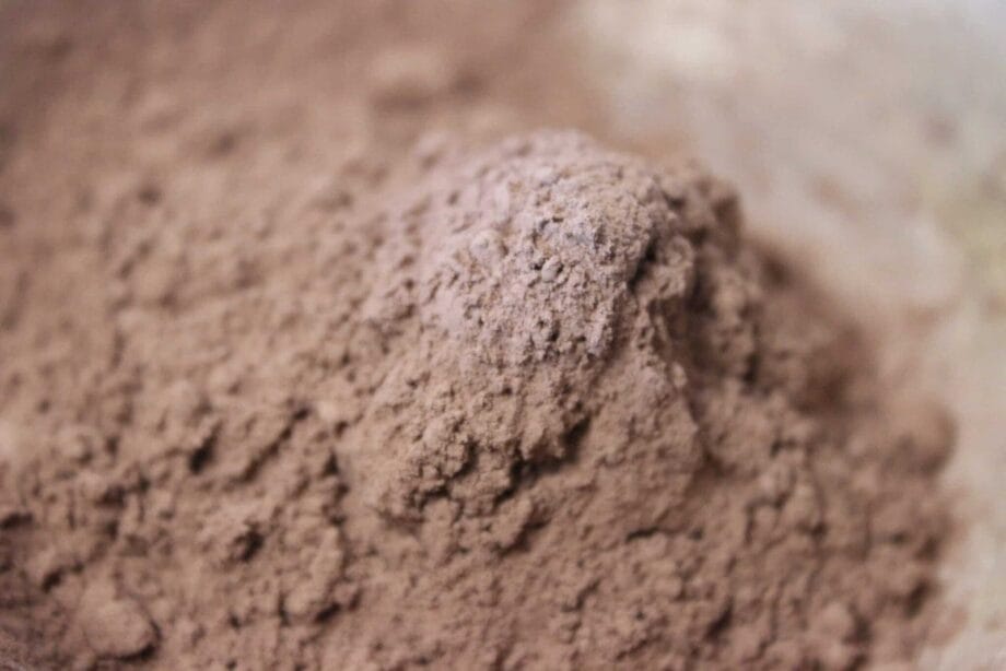 Cacao Grillé   Les épices curieuses