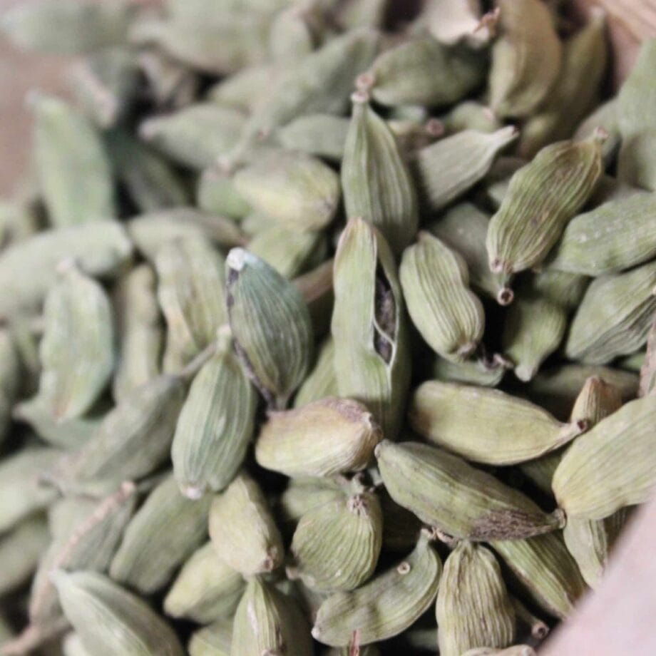 Cardamome verte en graines entière bio   Les épices curieuses
