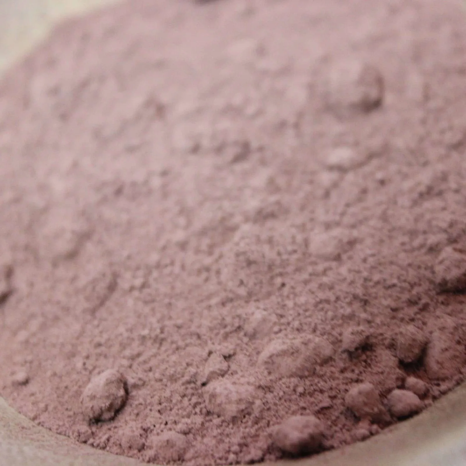 Chocolat en poudre Criollo - Les épices curieuses