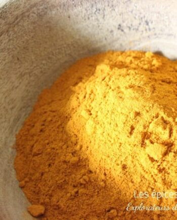 Curcuma mère La réunion - Les épices curieuses