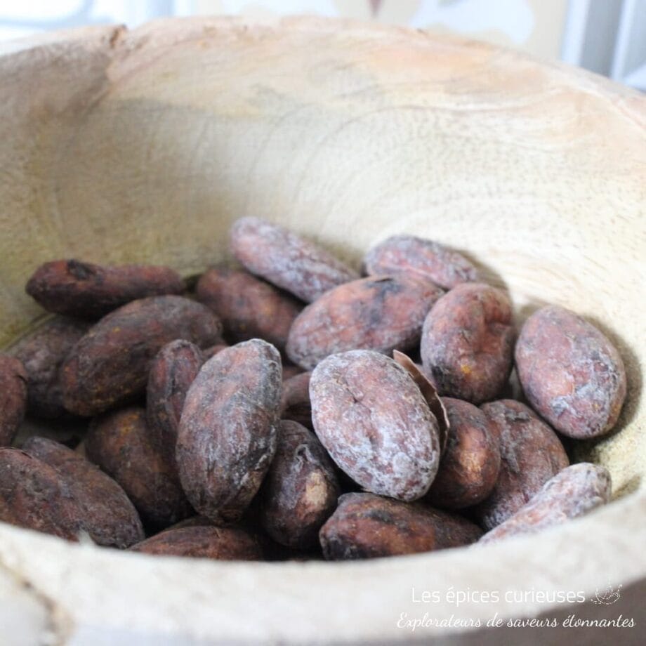 Fèves Cacao Trinitario   Les épices curieuses
