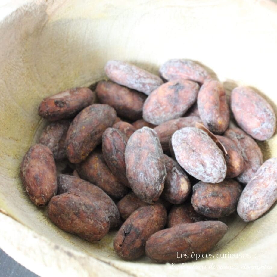 Fèves de cacao Trinitario premium   Les épices curieuses