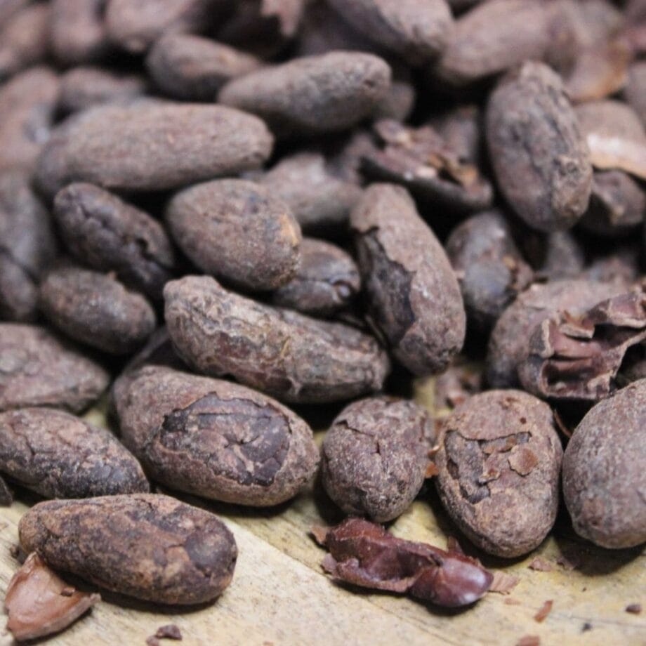 Fèves de Cacao Torréfiées Bio  Pérou