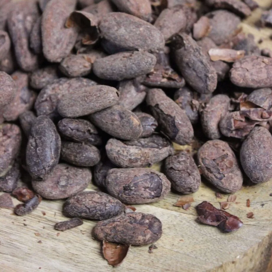 Fèves de Cacao Torréfiées Bio   Pérou   Les épices curieuses