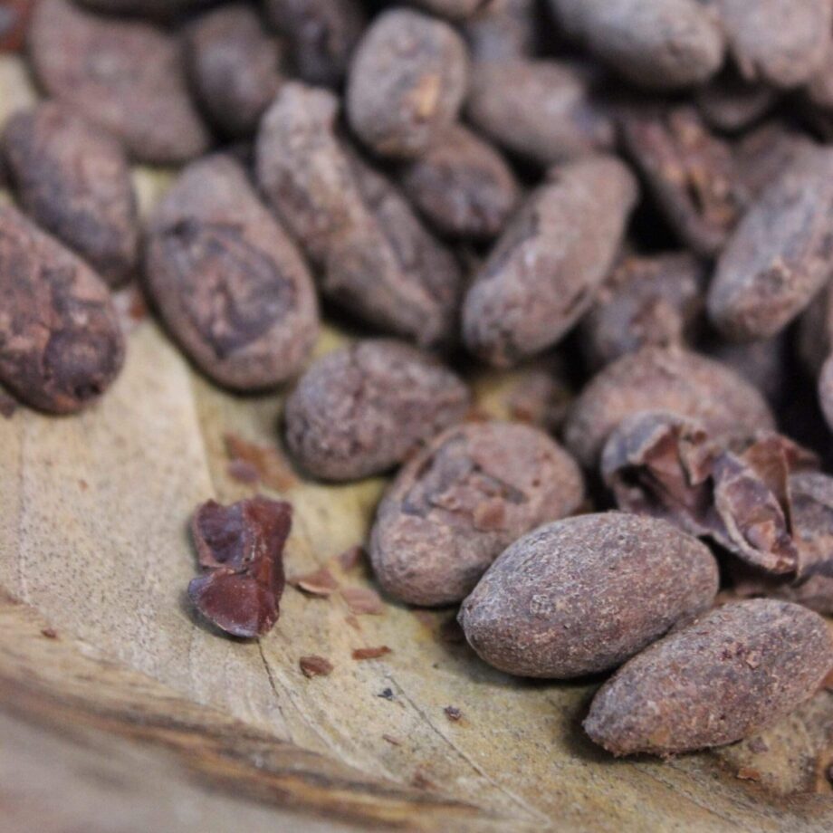 Fèves de Cacao Torréfiées Bio  Pérou