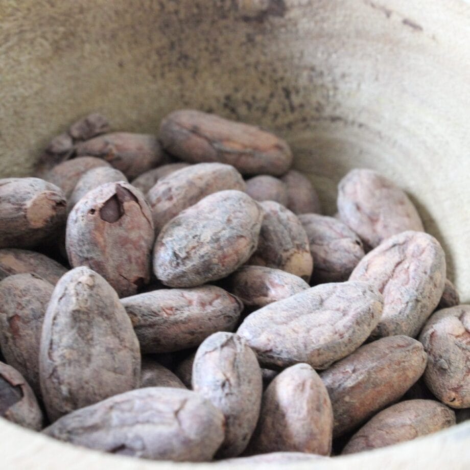 Fèves de Cacao Nacional   Les épices curieuses