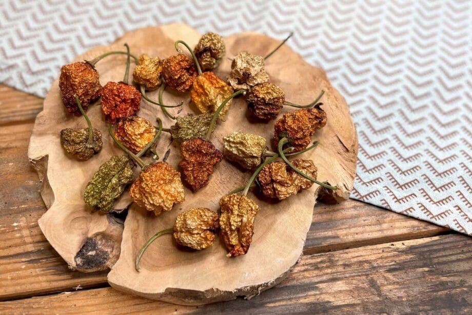 Piment Carolina Reaper - Entier et séché - Les épices curieuses