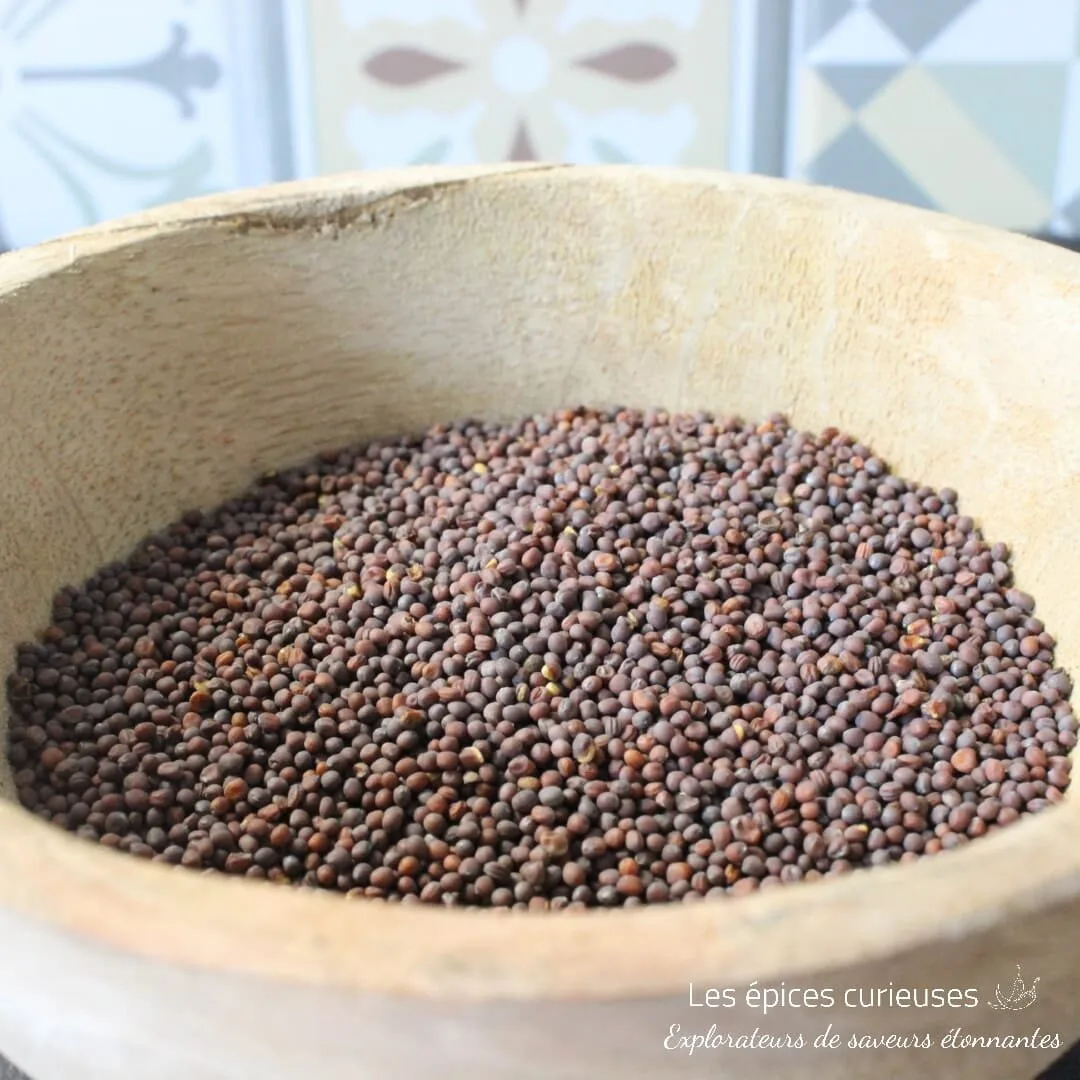 Graines de moutarde noir - Les épices curieuses