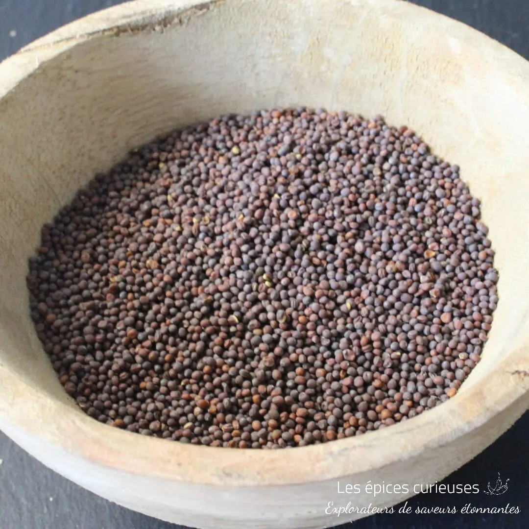 Graines de moutarde noir - Les épices curieuses