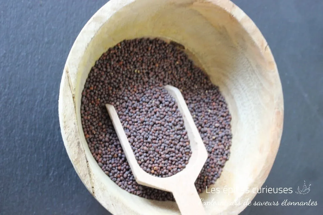 Graines de moutarde noir - Les épices curieuses