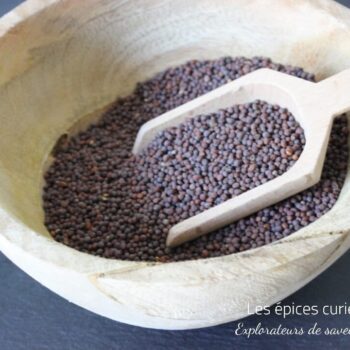 Graines de moutarde noire - Les épices curieuses