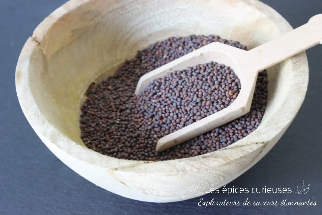 Graines de moutarde noire - Les épices curieuses