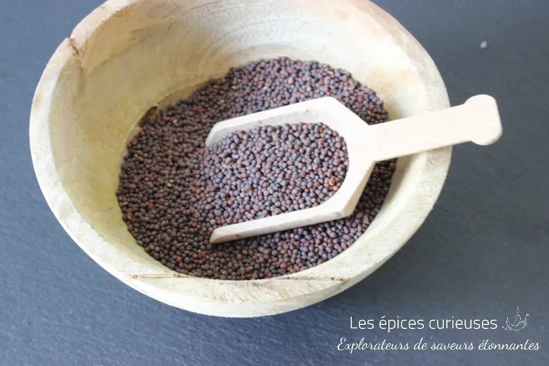 Graines de moutarde noir - Les épices curieuses