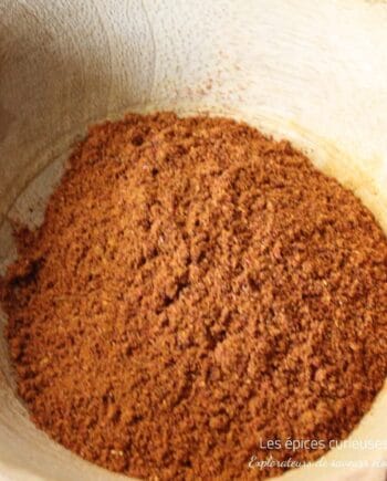 Hibiscurry - Bissap - Les épices curieuses