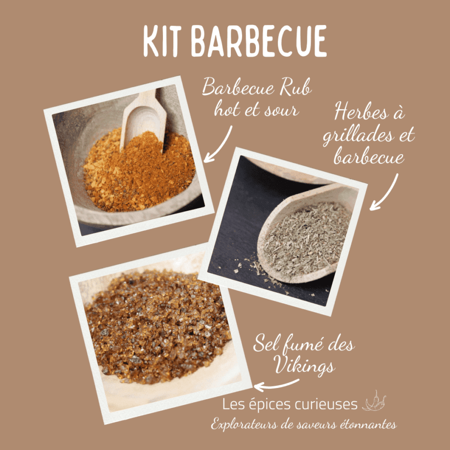 Kit Barbecue   Les épices curieuses