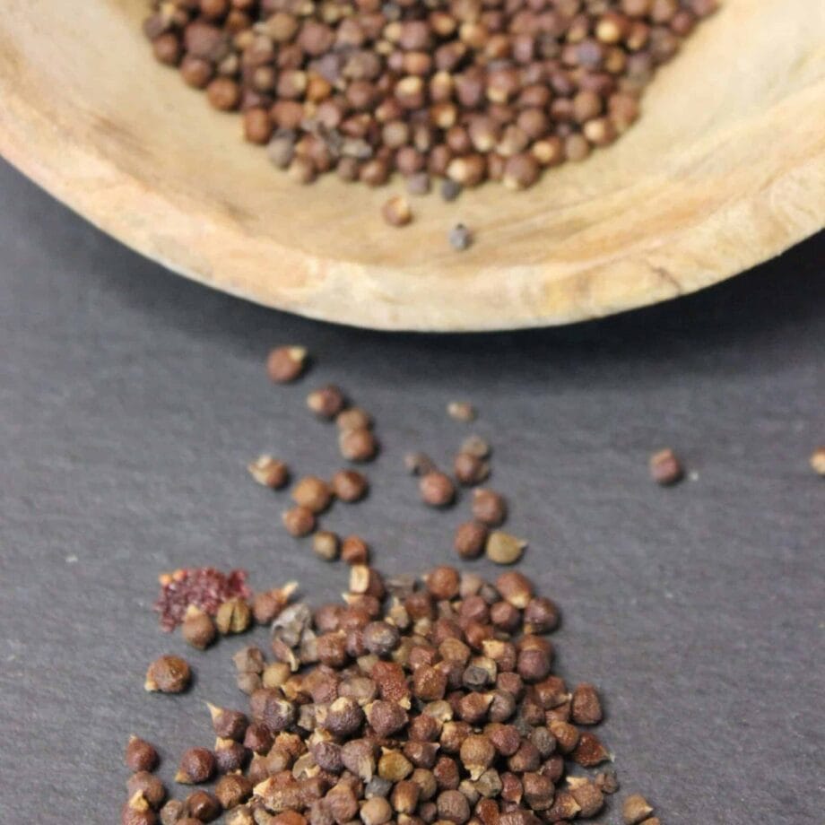 Maniguette ou Graines de paradis ou Piment   Les épices curieuses