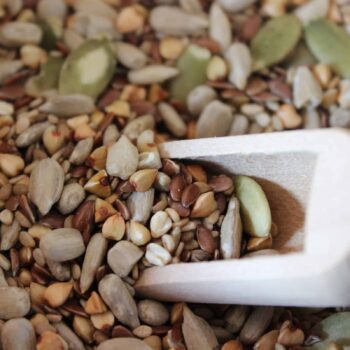 Assemblage Graines gourmandes - Les épices curieuses