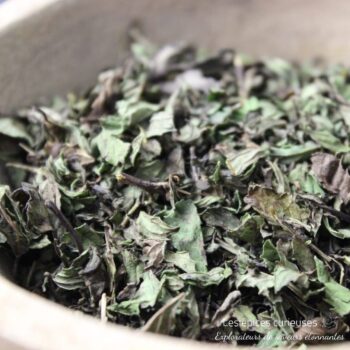 Menthe Poivrée - Les épices curieuses