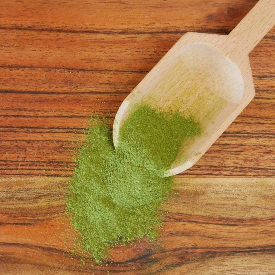 Moringa Oleifera   Les épices curieuses