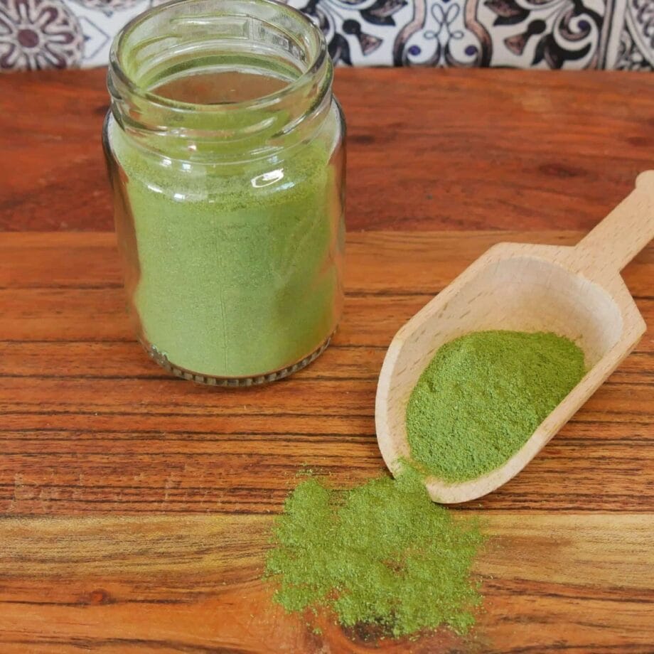 Moringa Oleifera   Les épices curieuses