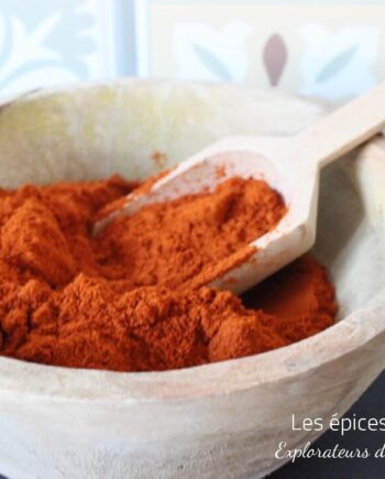 Paprika épicé - Les épices curieuses