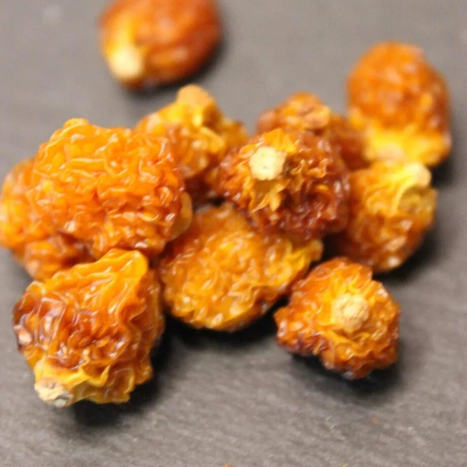 Physalis séché de Madagascar   Les épices curieuses