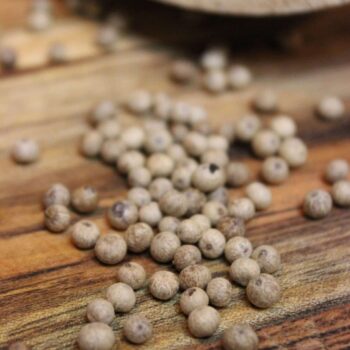 Poivre blanc de Kampot IGP Bio - Les épices curieuses