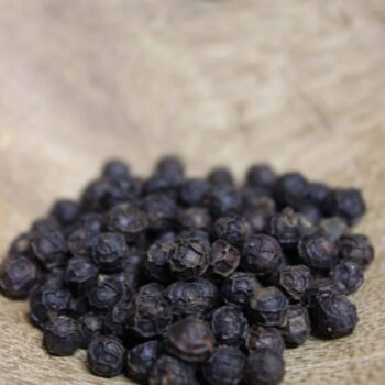 Poivre noir de Kampot IGP - BIO - Les épices curieuses