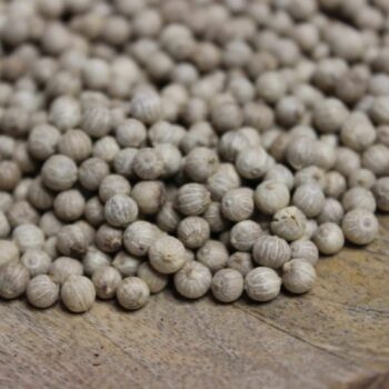 Poivre blanc Antalaha - Les épices curieuses