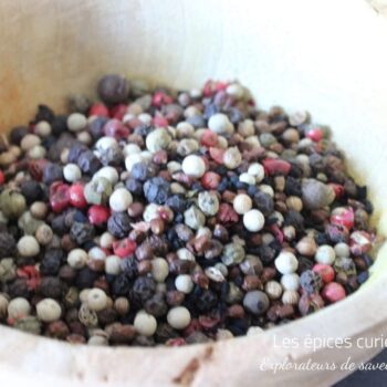 Mélange de poivres gastronome - Les épices curieuses