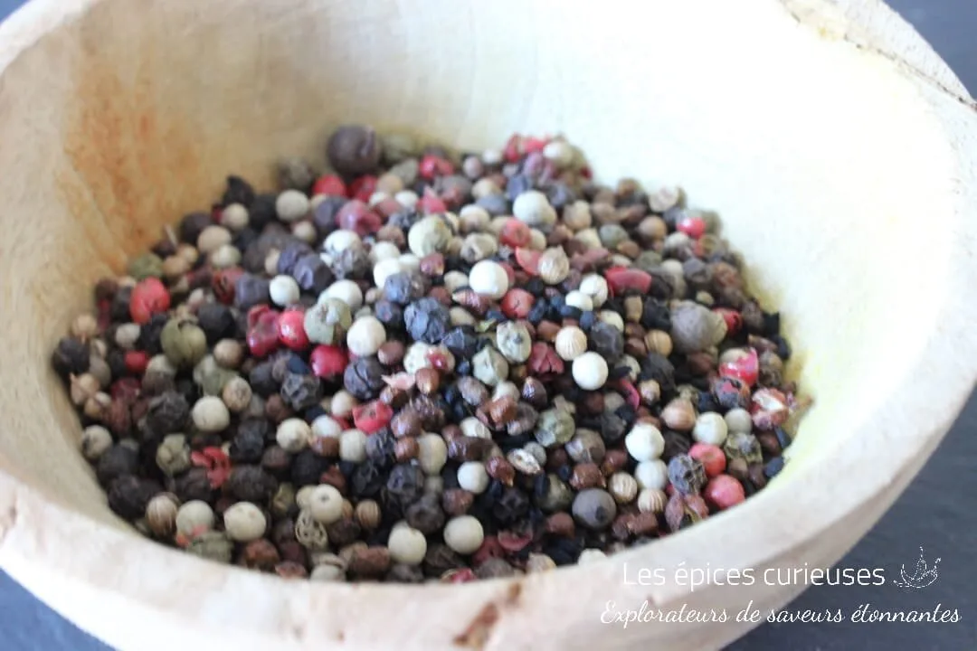 Mélange de poivres gastronome - Les épices curieuses