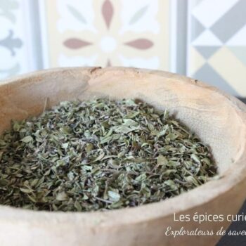 Thym Citronné - Les épices curieuses