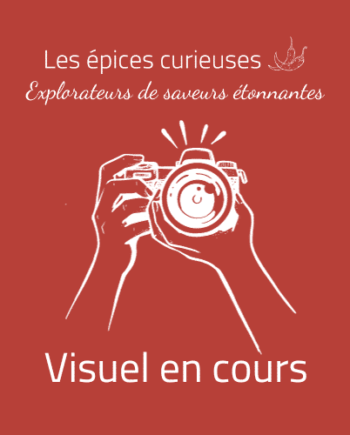 Visuel en cours - Les épices curieuses