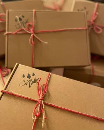 Box de Noël Les épices curieuses