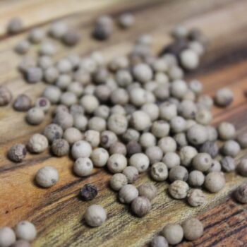 Poivre blanc Muntok - Les épices curieuses