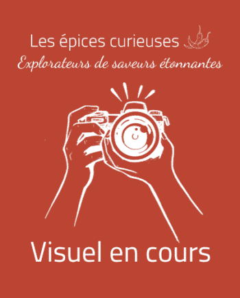 Assemblage Coréen  Piment  Umami   Les épices curieuses