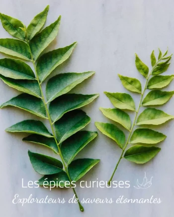 Feuilles de curry frais Kaloupilé   Les épices curieuses