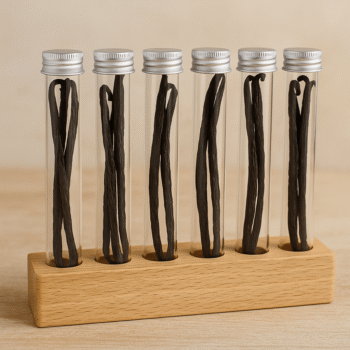 Gousses de vanille en tubes en verre, rangées sur un support en bois, sur fond neutre.