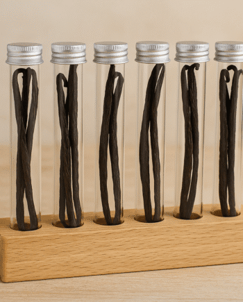 Gousses de vanille en tubes en verre, rangées sur un support en bois, sur fond neutre.