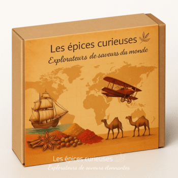 Boîte Les épices curieuses avec motifs d'exploration, épices et carte du monde.